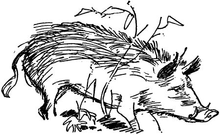 Черничные Глазки - i_016.png