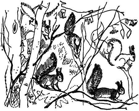 Черничные Глазки - i_026.png