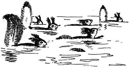 Черничные Глазки - i_029.png