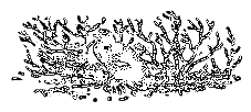 Рассказы охотника - i_065.png