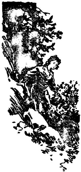 Загадка Большой тропы - i_046.png