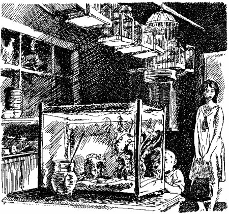 Эхо (Сборник) - i_008.png