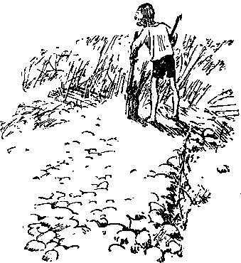 Эхо (Сборник) - i_025.png