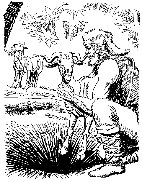 Приключения Робинзона Крузо (илл.) - i_041.png
