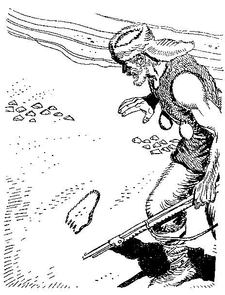 Приключения Робинзона Крузо (илл.) - i_043.png