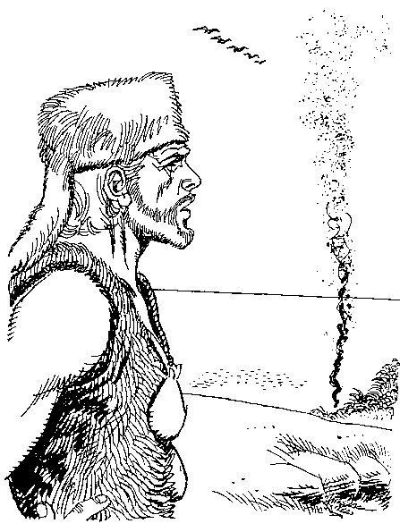 Приключения Робинзона Крузо (илл.) - i_050.png