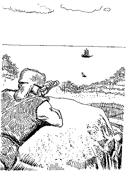 Приключения Робинзона Крузо (илл.) - i_086.png
