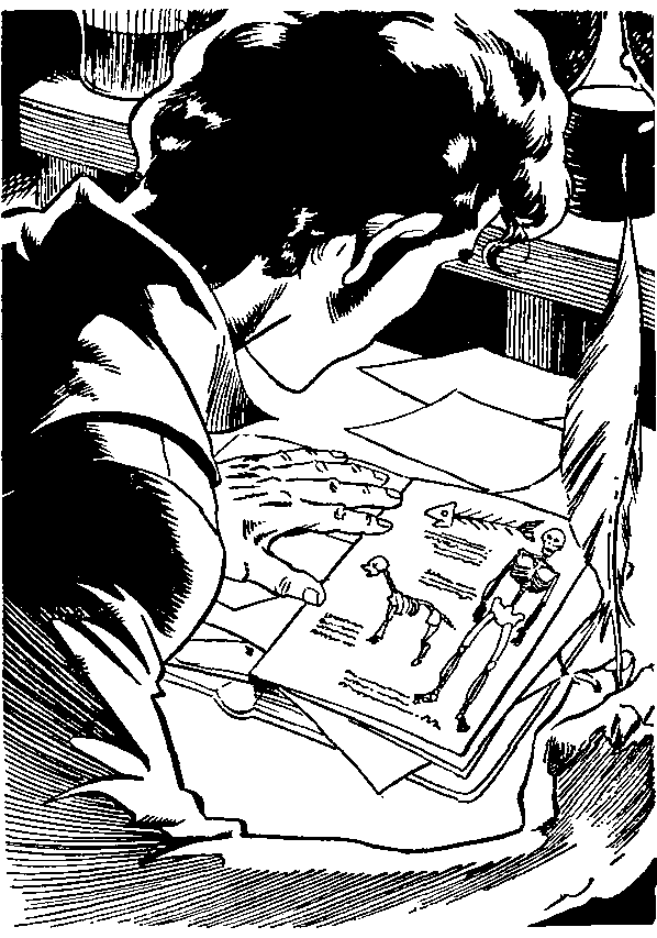 Франкенштейн (илл.) - i_018.png