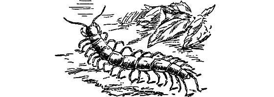 Путешествие в страну нектара - i_075.png