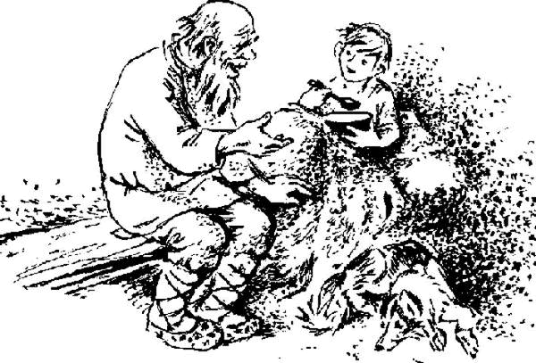 Аленушкины сказки (сборник) - i_002.png
