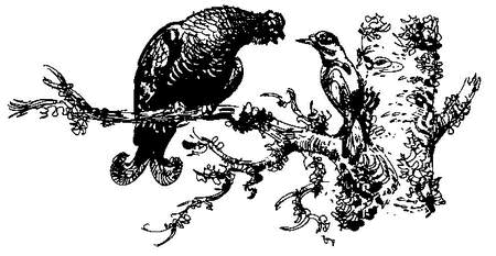 Лесные тайнички (сборник) (с илл.) - i_005.png