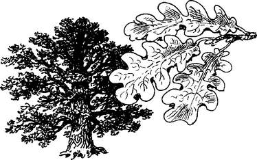 На теплой земле (сборник) - i_014.png