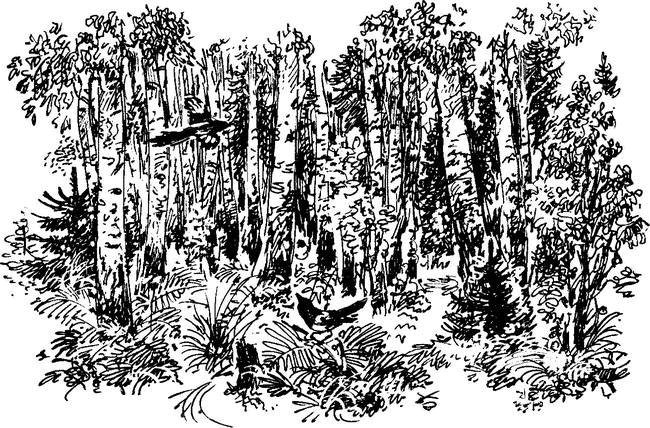 На теплой земле (сборник) - i_016.png
