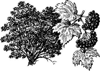 На теплой земле (сборник) - i_030.png