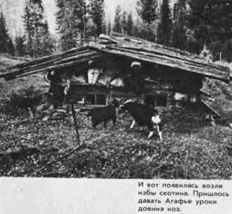 Таежный тупик - image37.jpg