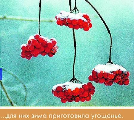 Окно в природу - _83.jpg
