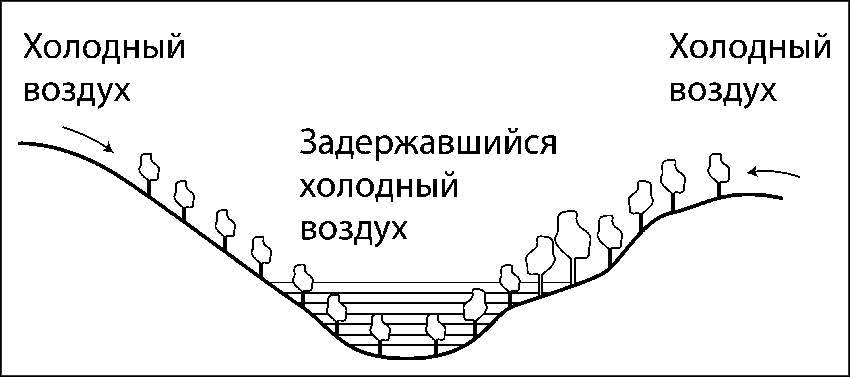 Чудо-урожай. Большая энциклопедия сада и огорода - r2.png
