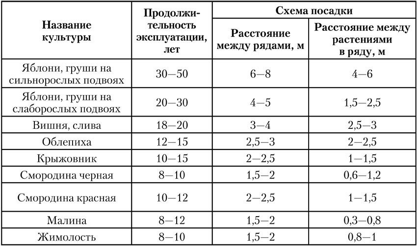 Чудо-урожай. Большая энциклопедия сада и огорода - tab02.jpg