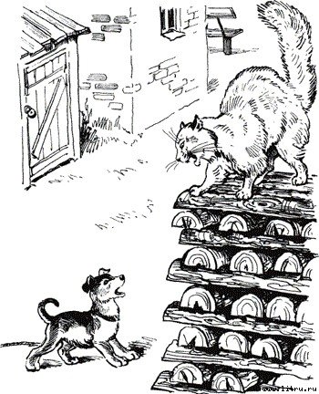 Пират - doc2fb_image_03000001.jpg