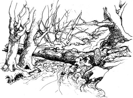 Сара. Книга 3. Говорящий филин стоит тысячи слов. Как пережить приключения, ничем не рискуя - i_006.png