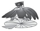 Бухгалтерский учет с нуля - i_002.jpg