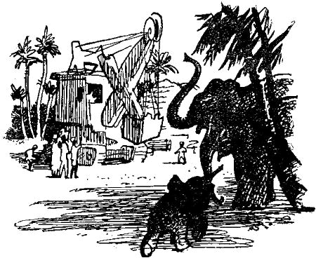 Первое знакомство (сборник) - i_019.png