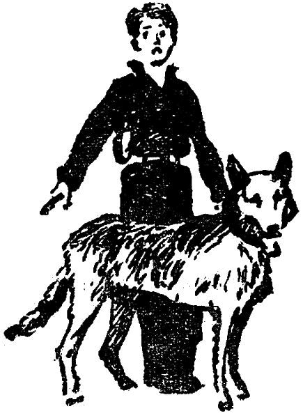 Первое знакомство (сборник) - i_024.png