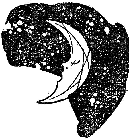Первое знакомство (сборник) - i_044.png