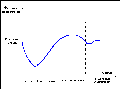 Думай! Или 'Супертренинг' без заблуждений - any2fbimgloader5.png