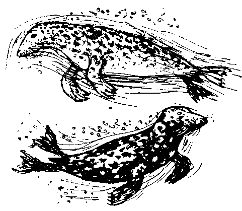 Каос и Бьёрнар - i_029.png