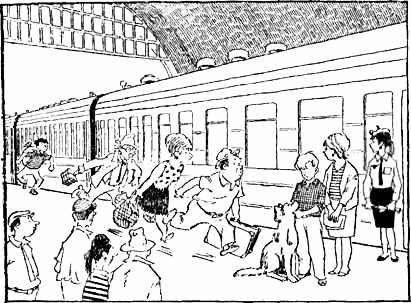 Пропало лето. Спасите утопающего. - i_005.png
