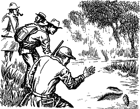 Затерянная земля (Сборник) - i_033.png