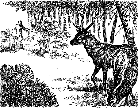 Затерянная земля (Сборник) - i_084.png
