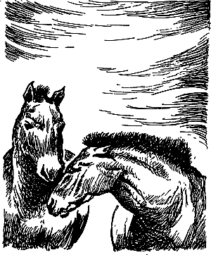 Затерянная земля (Сборник) - i_098.png