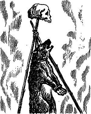 Затерянная земля (Сборник) - i_115.png