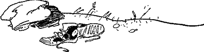 Старик Хоттабыч (худ. Г. Вальк)  - i_004.png
