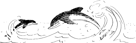 Как море подарило нам брата - i_007.png
