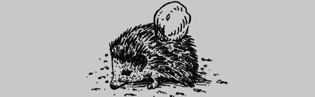 Долгая дорога домой (сборник) с илл. - img14.png