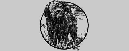 Долгая дорога домой (сборник) с илл. - img43.png