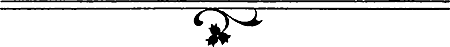Чего стоят крылья - p03211.png