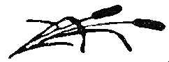 Бабушкина книжка - i_011.png