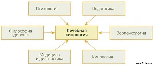 Лечебная кинология. Теоретические подходы и практическая реализация - pic_18.jpg
