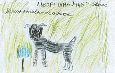 Лечебная кинология. Теоретические подходы и практическая реализация (с иллюстрациями) - pic_50.jpg