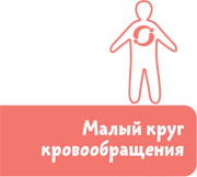 Как устроен человек - i_022.png