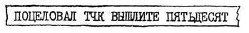 Грибы на асфальте - pic_27.jpg