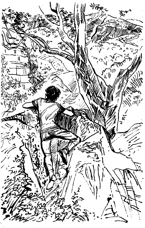 Тайная тропа к Бори-Верт - i_008.png