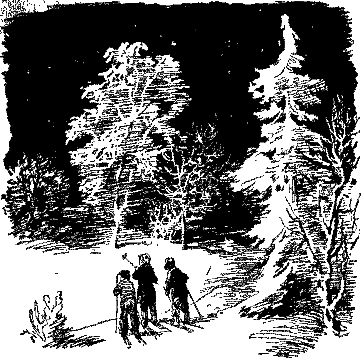 Васек Трубачев и его товарищи (илл. Г. Фитингофа) - pic_8.png