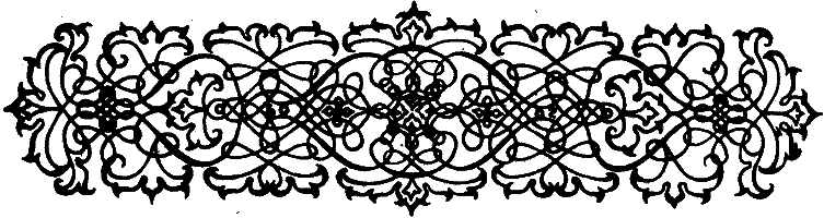 Исповедь королевы - i_005.png