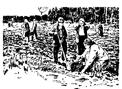 Жизнь зовет. Честное комсомольское - pic_9.png