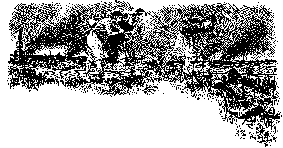 Тарантул (илл. Н. Кочергина) - pic_5.png